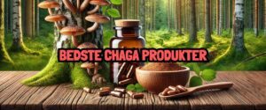 Chaga - De bedste kosttilskud, fordele og anvendelse